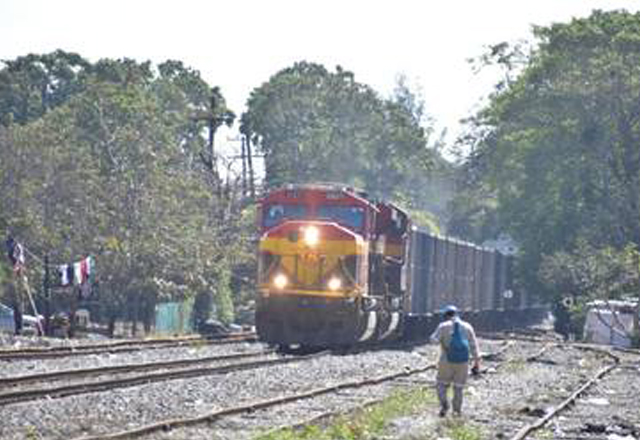 tren tamp