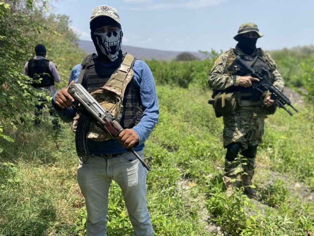 narco terroristas