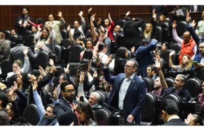 Justicia Gráfica // Aprueban diputados de Morena dejar sin defensa al ciudadano