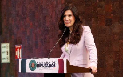 Cero impuestos a alimentos y medicinas para mascotas, propone Kenia López Rabadán