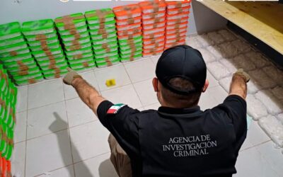En un cateo en Sinaloa, aseguran metanfetaminas